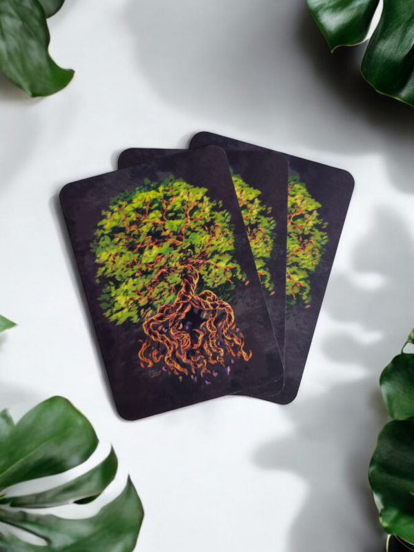 Photoroom-20241029_092552